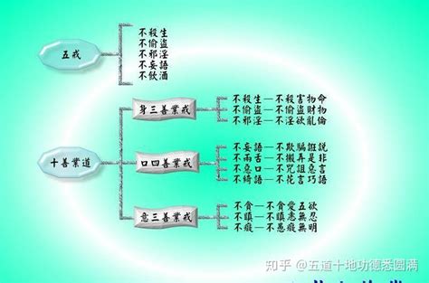 善事有哪些|列举一下善事有哪些？